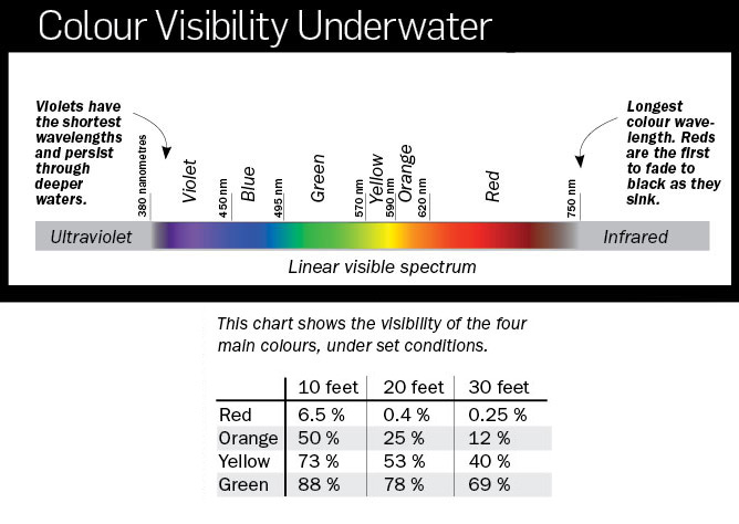 Fishing Color Selector Chart
